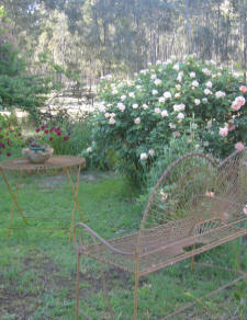 The b&b garden